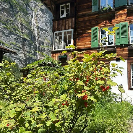 Montes Appartement *